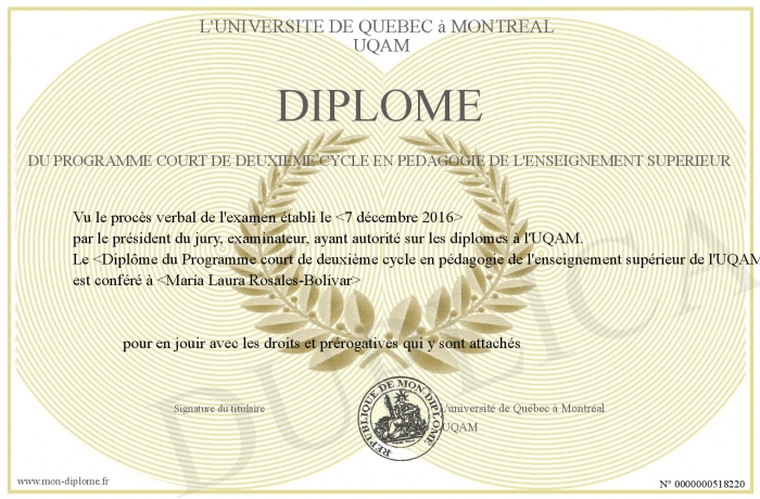 diplome universitaire 2er cycle